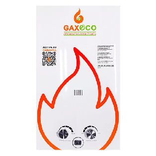 BOILER DE PASO   2 SERVICIO (12 L /min), C/PANTALLA GAXECO
