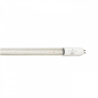 FOCO LED T 5, 22" 10W CLARO 65K 110/240V VIDRIO TISHMAN (1,000lm)
