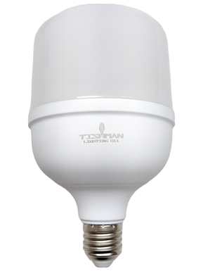 FOCO LED TOLEDO E26  30W 2400lm 65K TISHMAN